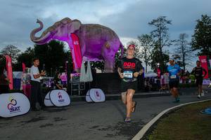 BIB: 
                            <button type="button" onclick="openModal(26529542)" class="btn btn-primary btn-sm float-right btn-popup" data-toggle="modal" data-target=".modal-high-quality">
                        <i class="fas fa-shopping-cart"></i> Add to Cart
                    </button>
                                            <button type="button" onclick="isThisMe(26529542, true)" class="btn btn-success btn-sm float-right btn-popup btn-isme hidden" data-toggle="tooltip" data-placement="bottom" title="นี่คือรูปของคุณใช่ไหม คลิกที่นี่เพื่อเอาเข้าอัลบั้ม">
                        <i class="fas fa-plus"></i> Add to album
                    </button>
                    <button type="button" onclick="isThisMe(26529542, false)" class="btn btn-warning btn-sm float-right btn-popup btn-isnotme hidden">
                        <i class="fas fa-ban"></i> Remove from album
                    </button>